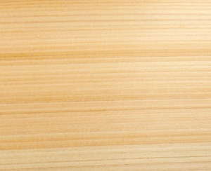 Hinoki|Chamaecyparis obtusa